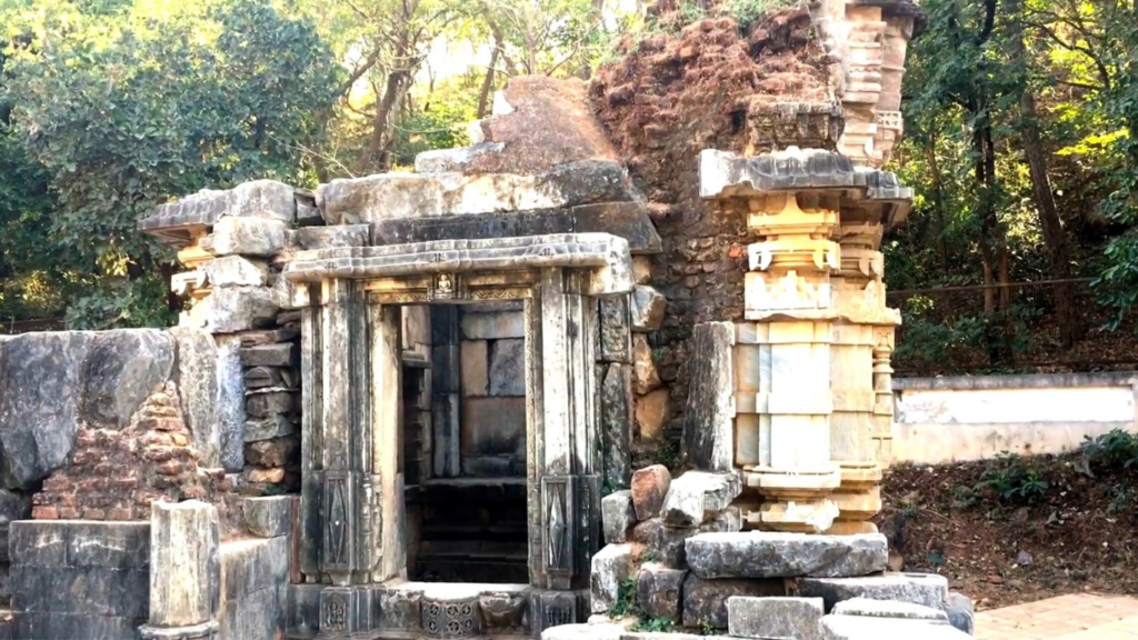 Polo forest: પ્રકૃતિપ્રેમીઓ માટે એક અદ્ભુત સ્થળ 3 Polo forest: પ્રકૃતિપ્રેમીઓ માટે એક અદ્ભુત સ્થળ