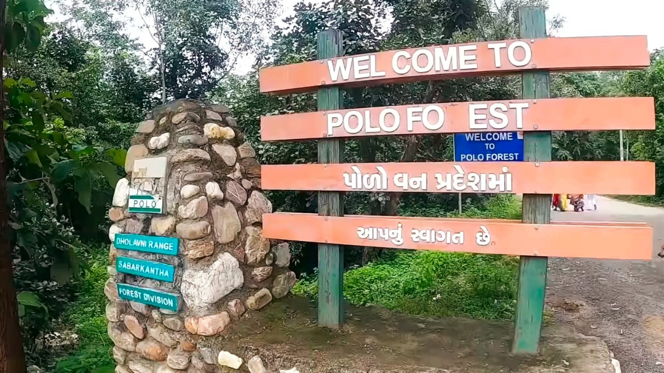 Polo Forest