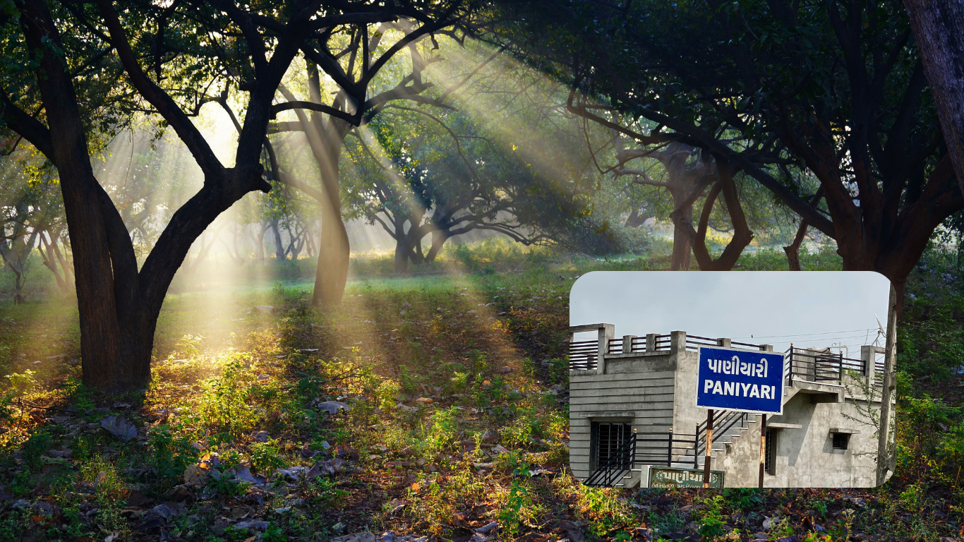 PANIYARI ASHRAM
